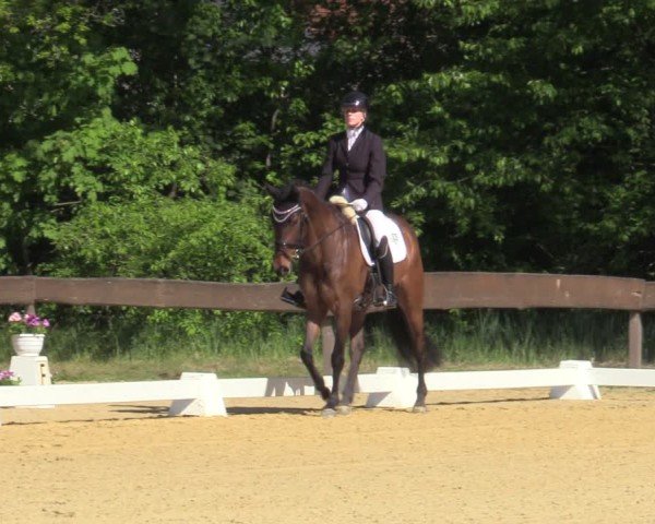 Reitturnier Wesel-Obrighoven 2025