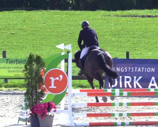 Reitturnier Looperholz 2025