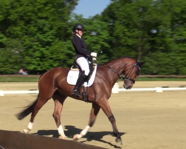 Reitturnier Wesel-Obrighoven 2025