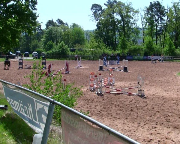 Reitturnier Burgkunstadt-Theisau/Ofr. 2025