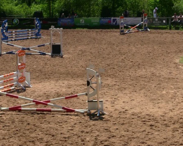 Reitturnier Burgkunstadt-Theisau/Ofr. 2025
