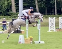 Springpferd Mr. White 3 (Deutsches Reitpony, 2015, von FS Mr. Right)