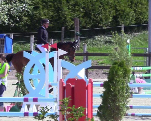 Reitturnier Looperholz 2025