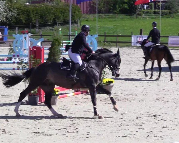Reitturnier Looperholz 2025