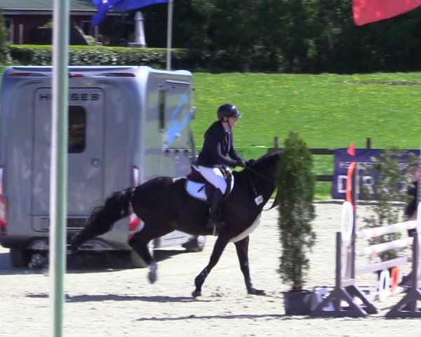 Reitturnier Looperholz 2025