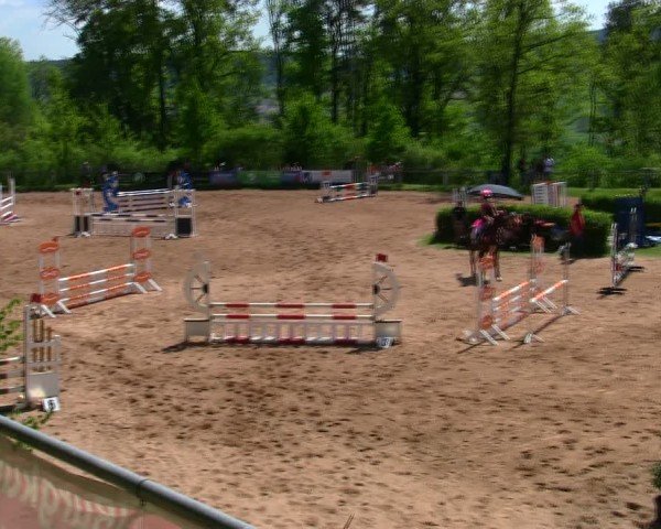 Reitturnier Burgkunstadt-Theisau/Ofr. 2025