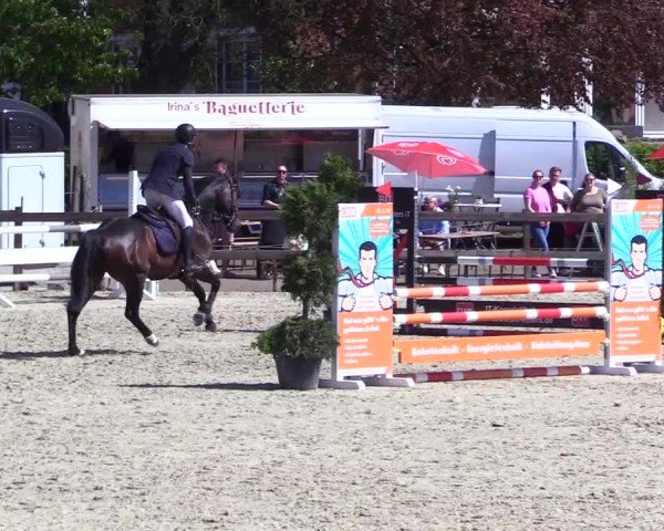 Reitturnier Looperholz 2025