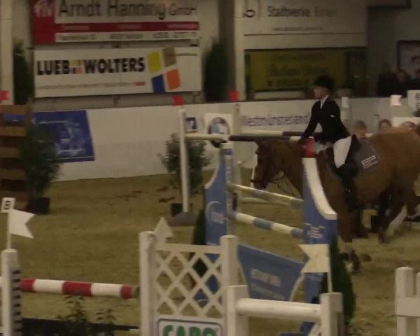 Hallenspringturnier in Borken 2014