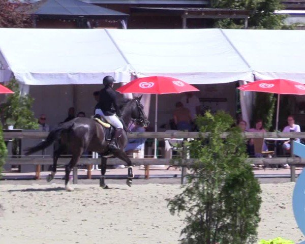 Reitturnier Looperholz 2025
