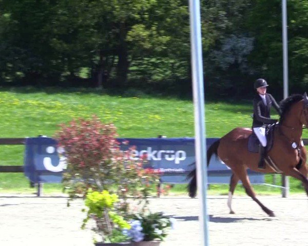 Reitturnier Looperholz 2025