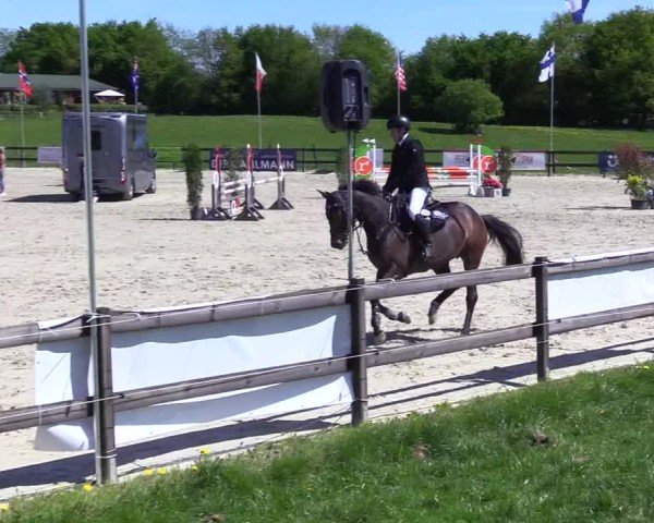 Reitturnier Looperholz 2025