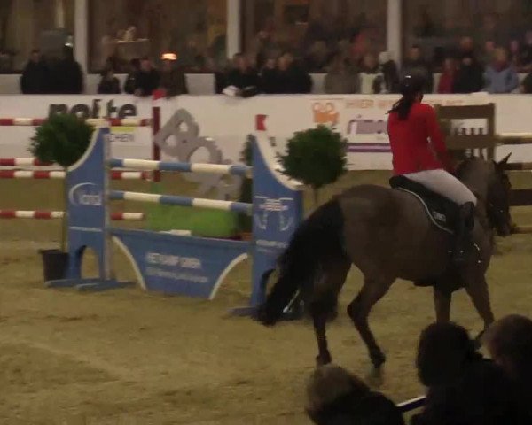 Hallenspringturnier in Borken 2014