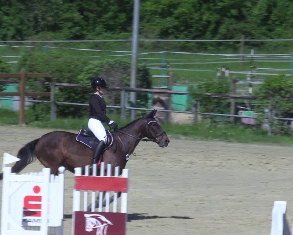 Reitturnier Kamen 2025