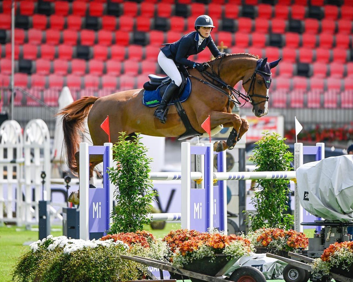 Springpferd PB Coretta Z (Zangersheide Reitpferd, 2013, von Colore)