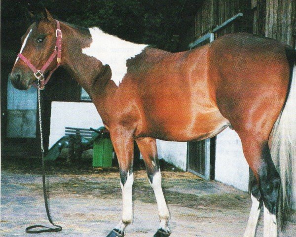 horse Flashy Par Three (Paint Horse, 1993, from King Par Three)