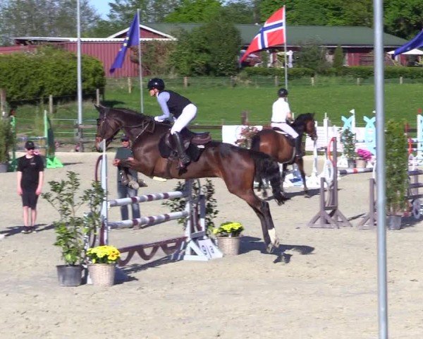 Reitturnier Looperholz 2025