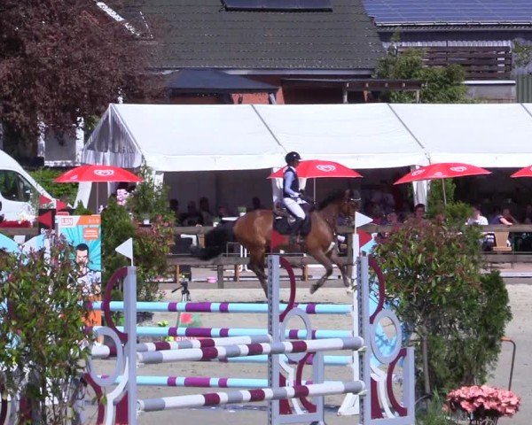 Reitturnier Looperholz 2025