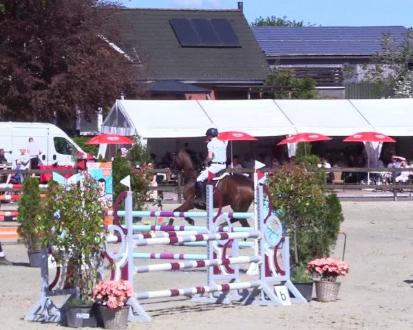 Reitturnier Looperholz 2025