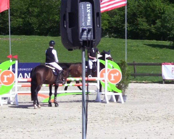 Reitturnier Looperholz 2025