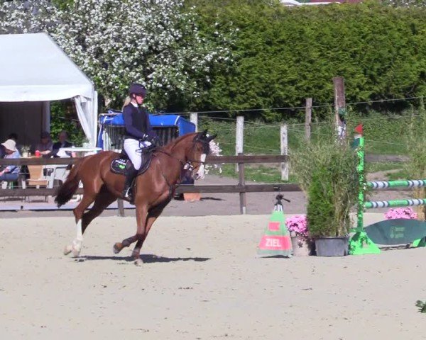 Reitturnier Looperholz 2025