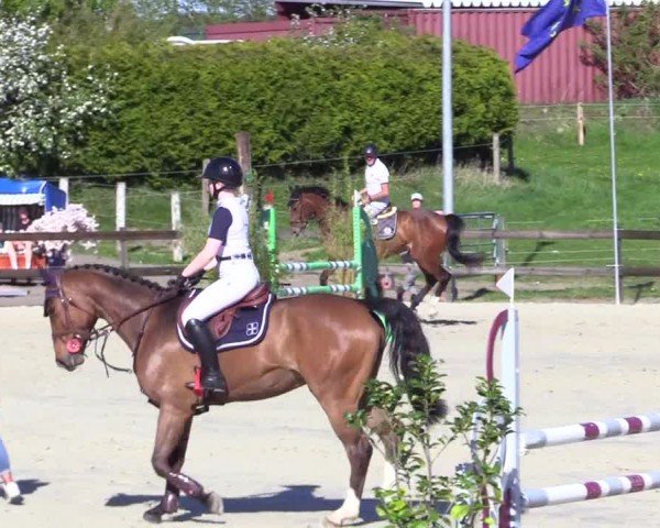 Reitturnier Looperholz 2025