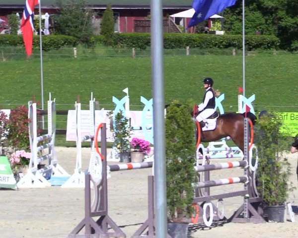 Reitturnier Looperholz 2025