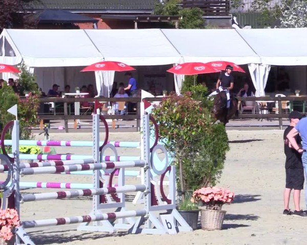 Reitturnier Looperholz 2025