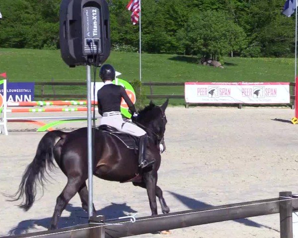 Reitturnier Looperholz 2025