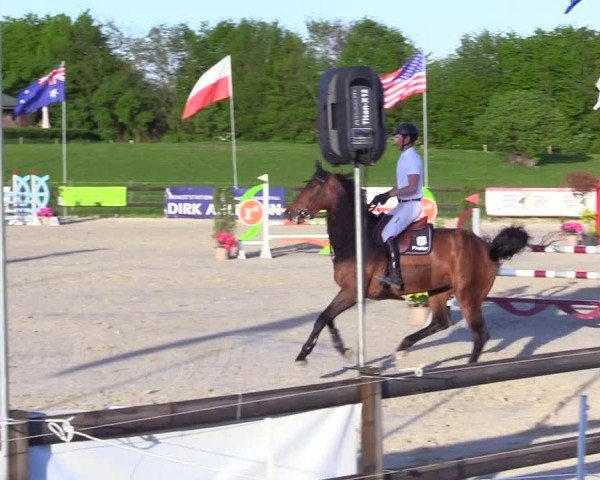Reitturnier Looperholz 2025