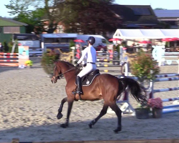 Reitturnier Looperholz 2025