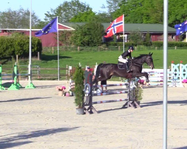 Reitturnier Looperholz 2025