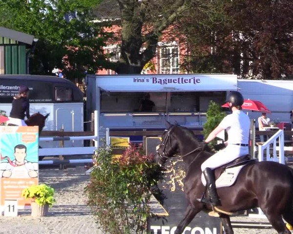 Reitturnier Looperholz 2025