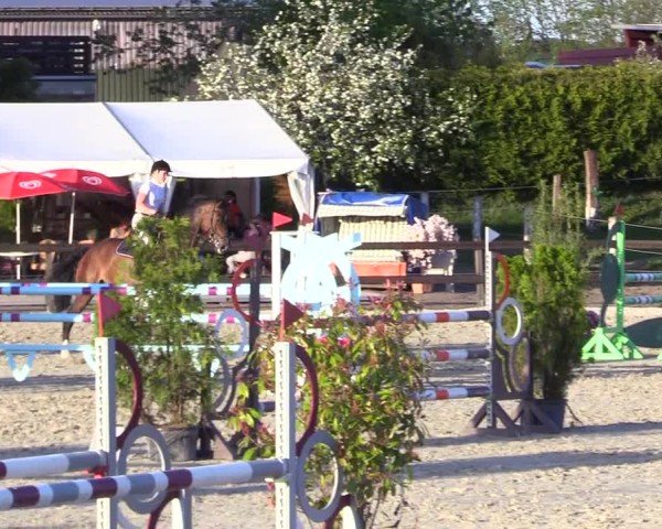 Reitturnier Looperholz 2025
