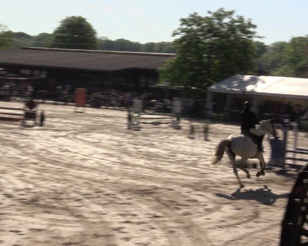 Reitturnier Havixbeck 2025