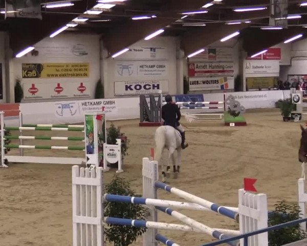 Hallenspringturnier in Borken 2014