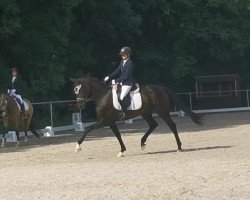 dressage horse Franka (Hanoverian, 2017, from Quantensprung 3)