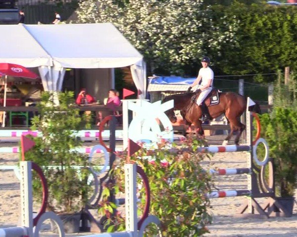 Reitturnier Looperholz 2025
