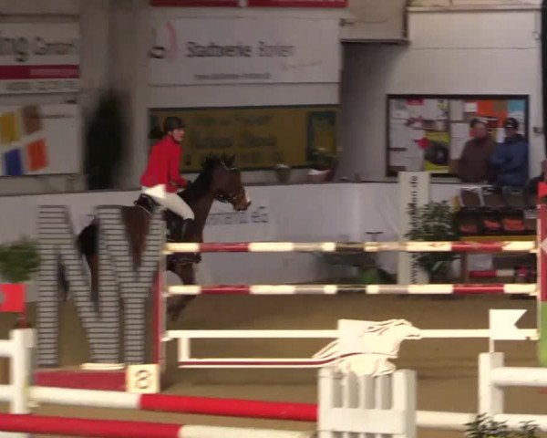 Hallenspringturnier in Borken 2014