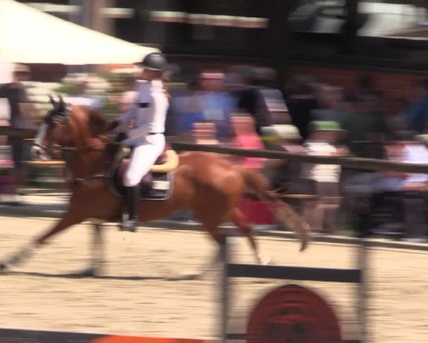 Reitturnier Havixbeck 2025
