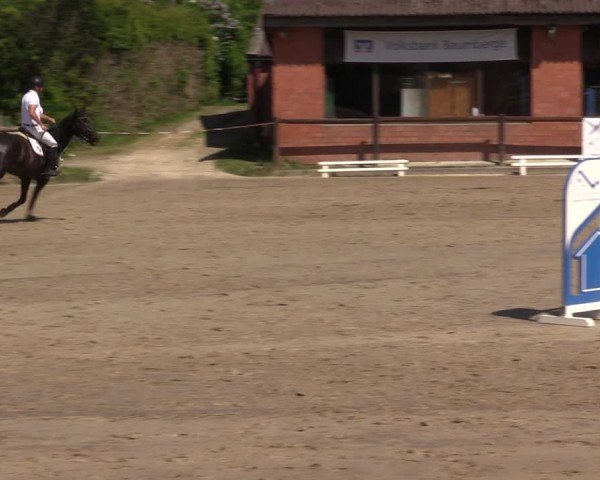 Reitturnier Havixbeck 2025