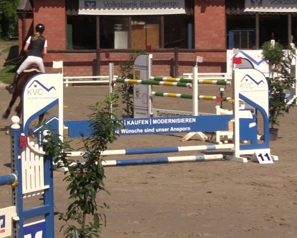 Reitturnier Havixbeck 2025