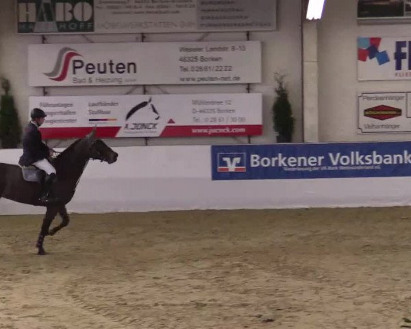 Hallenspringturnier in Borken 2014