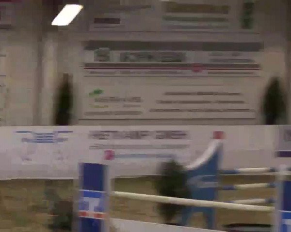 Hallenspringturnier in Borken 2014