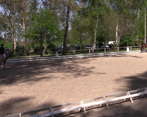 Reitturnier Derenburg 2025