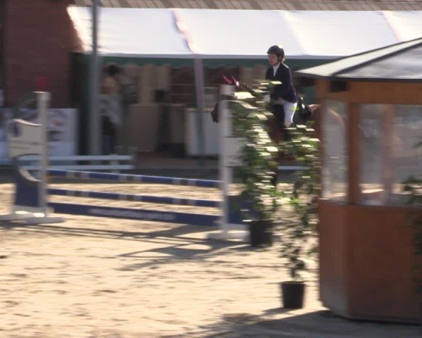 Reitturnier Havixbeck 2025