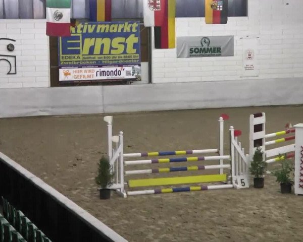 Late Entry Zweibrücken 2014