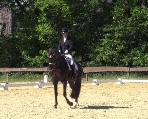 Reitturnier Wesel-Obrighoven 2025