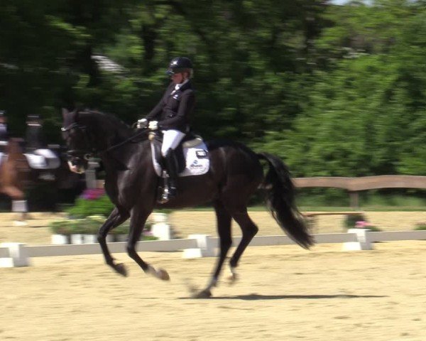 Reitturnier Wesel-Obrighoven 2025