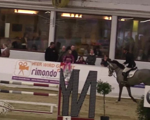 Hallenspringturnier in Borken 2014