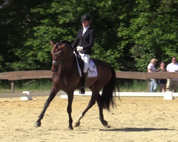 Reitturnier Wesel-Obrighoven 2025